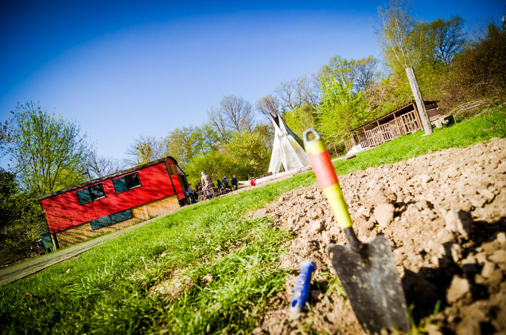 Fotoserie für Waldkindergarten